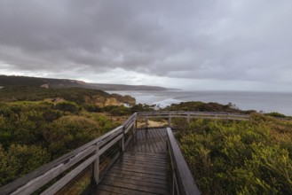 Point Addis Beach and ocean on a stormy cool autumn day near Torquay, Victoria, Australia