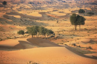 Rub al Khali Desert (Rub al Khali), Ras al Khaimah (Ra's al-Chaima), United Arab Emirates
