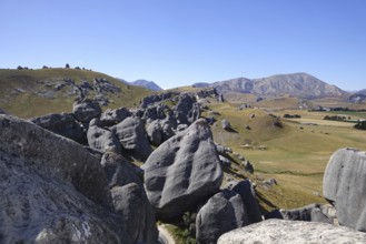 An image of a landscape scenery at Castle Hill New Zealand