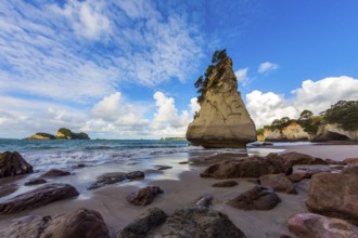 Huge boulders and picturesque rocks on a sandy beach. The New Zealand, North Island. Ocean low tide