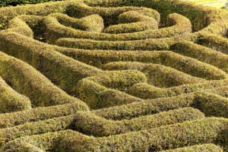 Labyrinth in a botanical garden in Poland