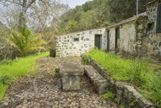 Old country house in the laurel forest in Garajonay National Park, forest near El Cedro, La Gomera,