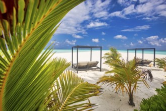 Idyllic Beach with Palm Treesat the Maldives, Indian Ocean, Asia
