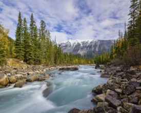 Beautiful autumn landscape scene in mountain in background in Yoho National Parkwest Canada
