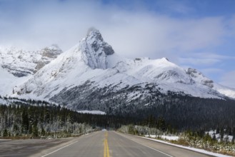 Beautiful autumn landscape scene in mountain in background in National Parkwest Canada with yellow