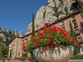 Large flower pot with red flowers in front of historic buildings and mountains under a blue sky,