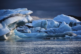 Calved iceberg in the glacial lake of Jökulsarlon, Iceland, Island of Iceland, Northern Europe