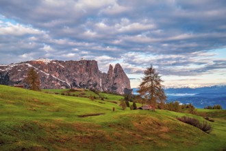 Panoramic view of Mount Sciliar on the Seiser Alm in the Dolomites in South Tyrol, Italy