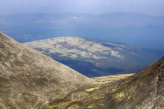 Mountain deserts and semi-deserts of Northern lands - alpine tundra belt (barrens, goltsy). Khibiny