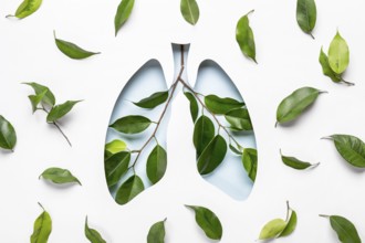 Blue Hole Lungs and green twigs as symbol of healthy lungs. World Tuberculosis Day or World Lung