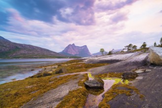 Sunset over an arctic fjord in the Lofoten, Norway