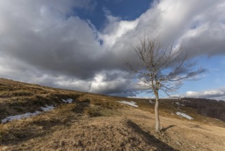 Summits of the Vosges landscape in Winters. France