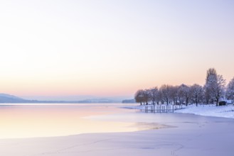 Winter landscape with snow-covered trees and frozen lake at dusk, Seegarten, Allensbach, Lake