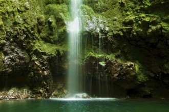 Caldeirao verde waterfall, Santana, Madeira, Portugal