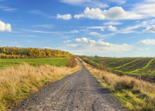 Country road through fields in autumn at sunny day