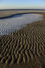 Sand waves on the beach near Westerland, Sylt, Schleswig-Holstein, Germany