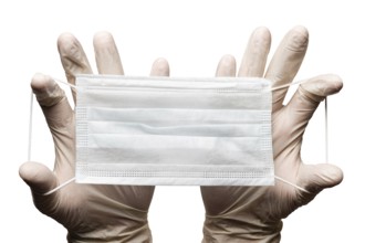 Doctor holding surgery medical face mask in hands in gloves isolated on white background. Medicinal