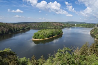 Lake and island with trees. Water reservoir Sec, Czech Republic