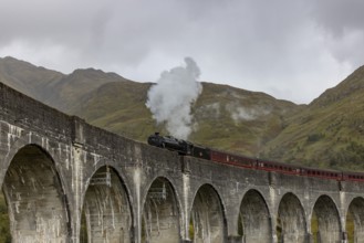 The Jacobite Steam Train, steam railway on the Glenfinnan railway viaduct, known from Harry Potter,