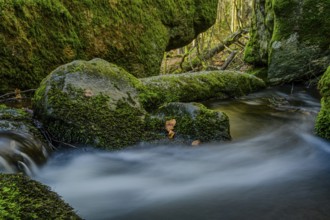 Moss-covered rocks surround a flowing stream in the forest, Höllbachtal, Upper Palatinate