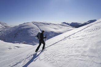 Ski mountaineer on the Grünleitennock, Innerkrems, Carinthia, Austria