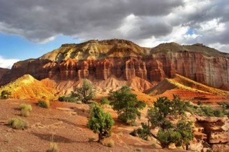 The well-known canyon of red rocks, clouds and a tree