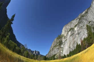 Magnificent glade with a yellow grass in valley Yosemite park, photographed by an lens Fish eye