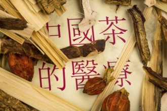 Ingredients for a tea in traditional Chinese medicine. Healing diseases through alternative methods
