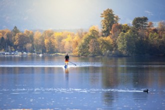 An image of a stand up paddling man at autumn the lake