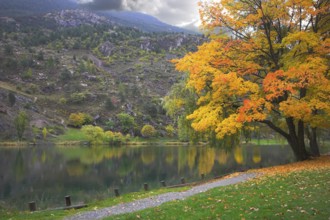 Small lake in city park of the French small town