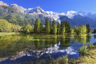Snowy mountains and evergreen spruce reflected in the lake. City park in the mountain resort of