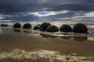 Moeraki boulders - group of large round boulders. The coast of New Zealand. The sun's rays are