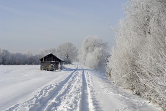 A single tractor track crosses the vast landscape of snow-covered fields