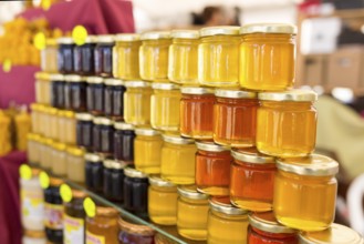 Different small jars of honey - herbal honey, lavender honey, linden honey and mixed honey