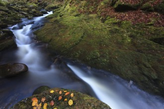 Small stream framed by moss-covered rocks in a natural setting, Kleine Ohe, Bavarian Forest,