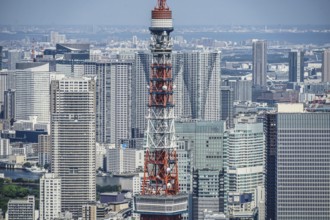 Tokyo Tower and urban landscape. Shooting Location: Tokyo metropolitan area