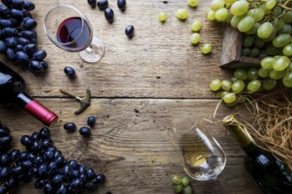 Red and white wine with glass, bottle and grapes over wooden background, copy space, top view