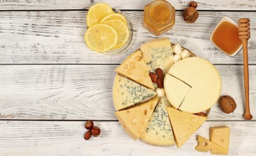 Blauer Käse, gorgonzola, roquefort, parmesan, mozzarella, maasdam mit Honig und Nüsse, Sortiment