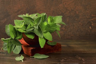 Floral composition of wild medicinal herbs, peppermint in a cup with lemon on a wooden table,