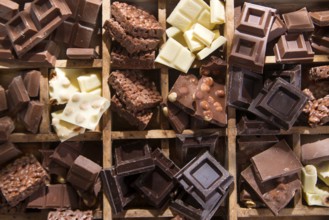 Little cubes of chocolate in various colors in wooden box