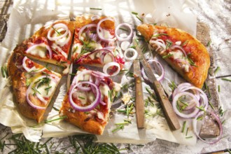 Freshly baked pizza with red onion and mozzarella
