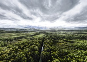 The area around Esperance River Forest Reserve on a stormy summer's day in Southwest National Park