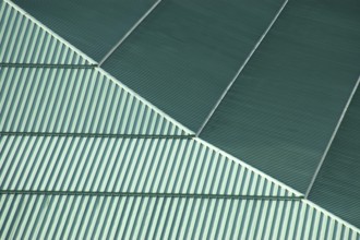 Background texture of a green conference center roof