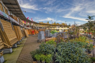 DIY store, outdoor area with plants and privacy screens, Allgäu, Bavaria, Germany