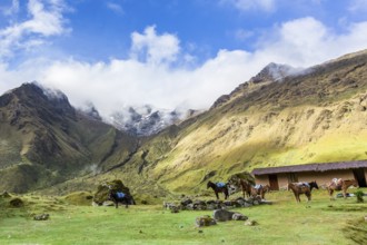 Salkantay Trekking in Peru, South America