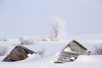 Prairie Winter Scenes rural Saskatchewan Canada Frost