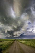Prairie Storm Clouds Canada Saskatchewan Dramatic Summer
