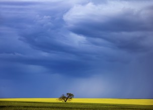 Ominous Storm Clouds Prairie Summer Rural Scene