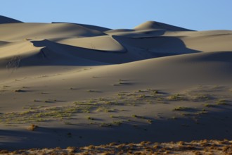 Chain of traces on sand of a mysterious sandy dune Eureka