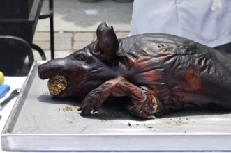 Roasted pig on a tray closeup outdoor scenic Taste of Italy celebration event in Toronto Canada